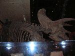 038_2009-0119-1120-33.jpg